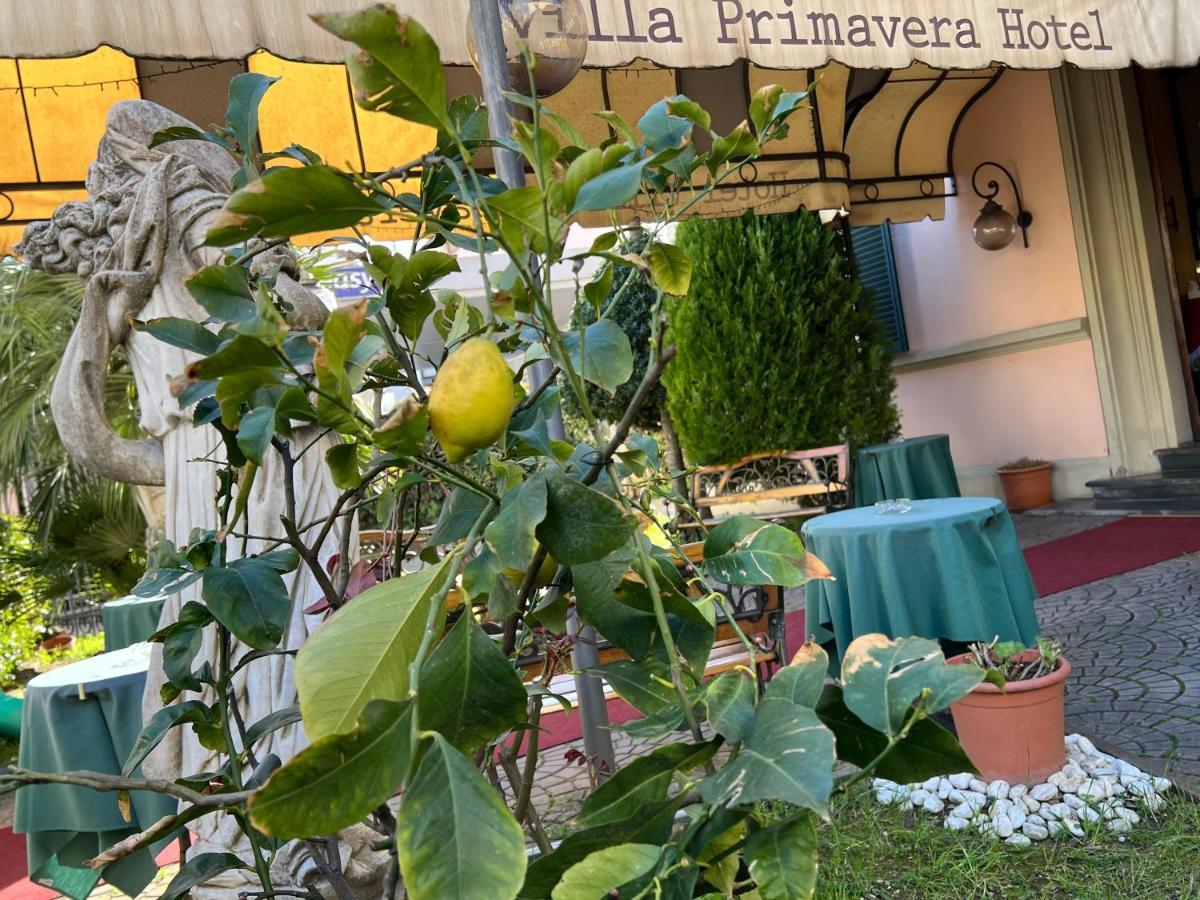 Hotel Villa Primavera Piza Zewnętrze zdjęcie